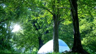 Thumbnail of post image 031